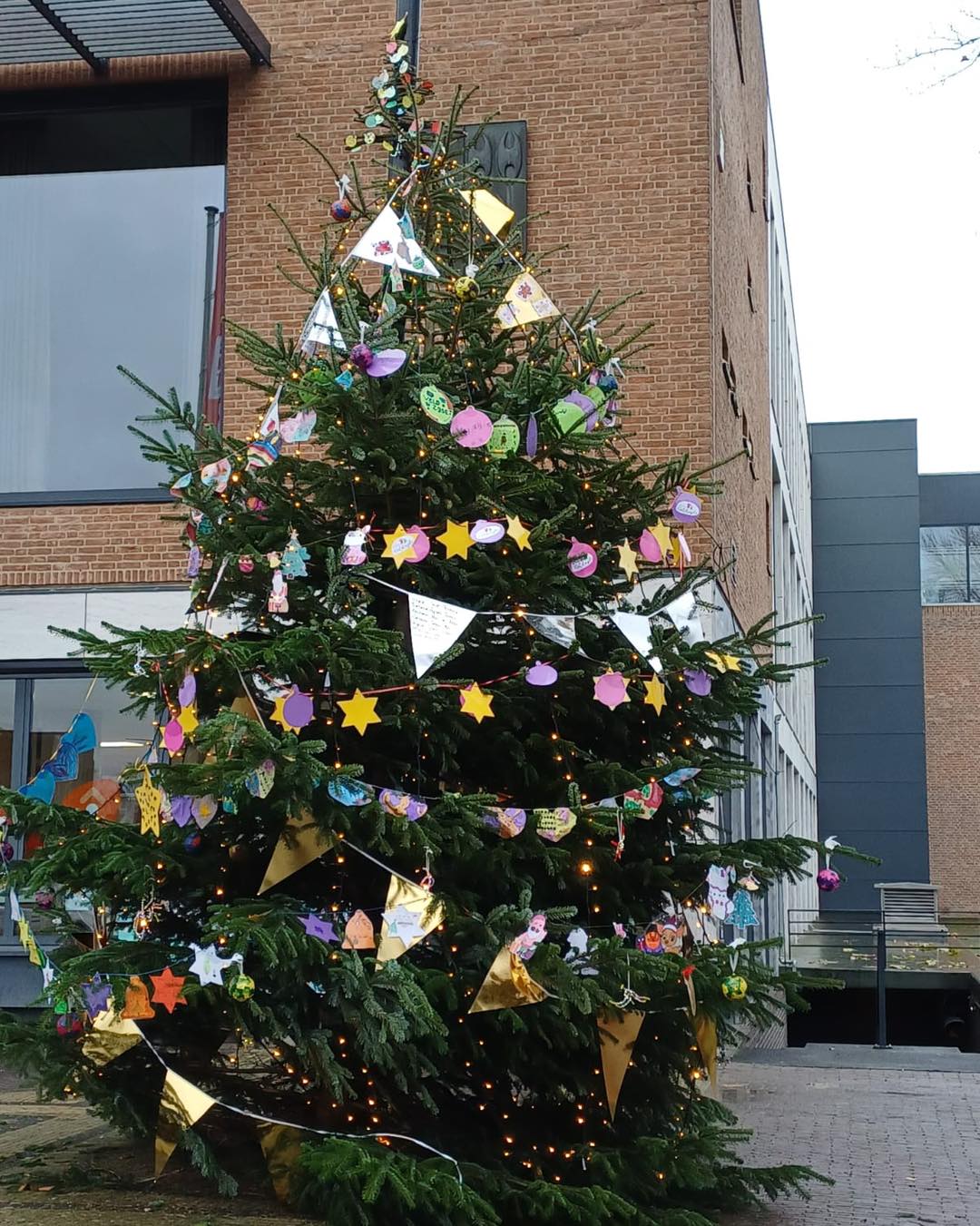 598865579_1334450028721718_7600802765032224852_n